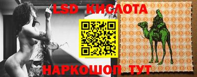 прущие грибы Краснознаменск