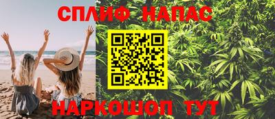 прущие грибы Краснознаменск
