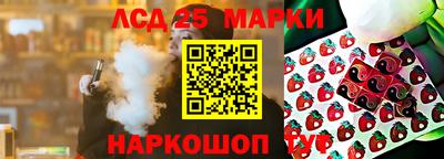 прущие грибы Краснознаменск