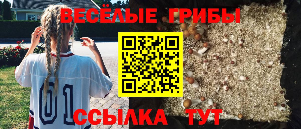 Псилоцибиновые грибы Cubensis  Псилоцибиновые грибы Magic Shrooms  Вход с VPN  Канаш 